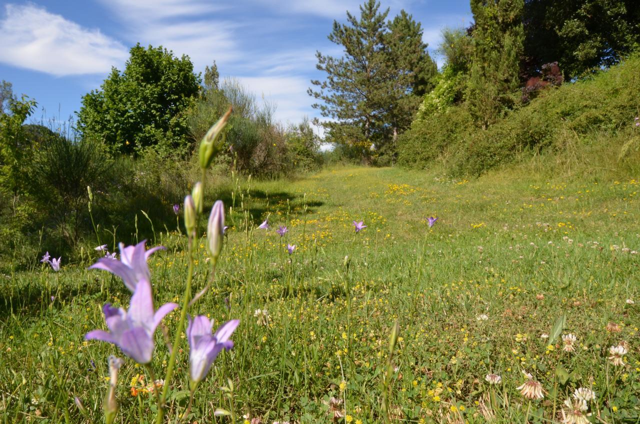 Agriturismo Villa Mozart Nel Verde Gubbio Exterior foto