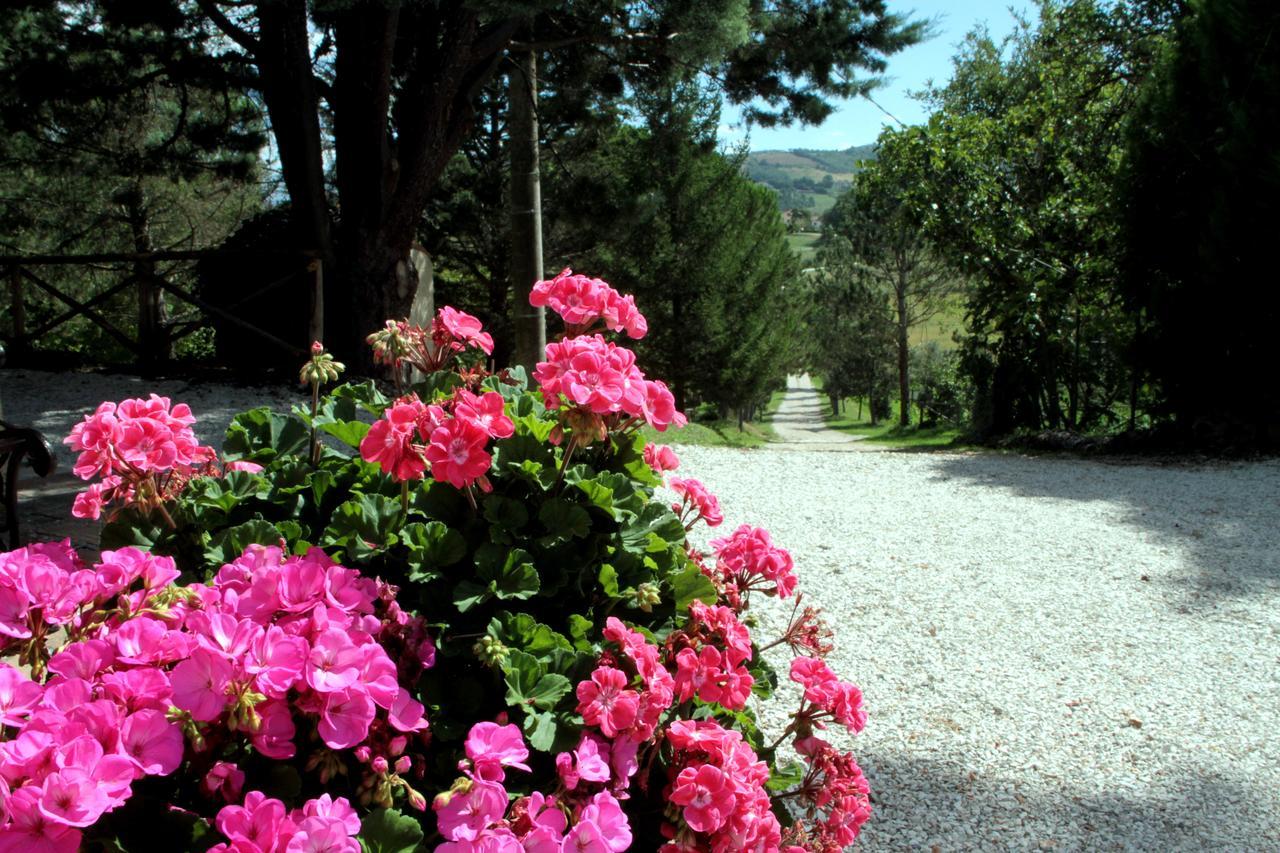 Agriturismo Villa Mozart Nel Verde Gubbio Exterior foto