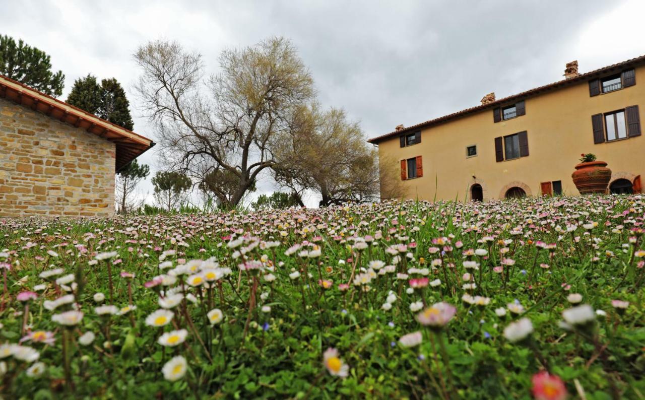 Agriturismo Villa Mozart Nel Verde Gubbio Exterior foto